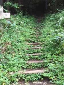 陣馬山登山