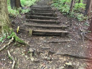 陣馬山登山