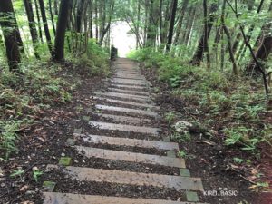 陣馬山登山